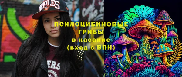 дживик Бронницы