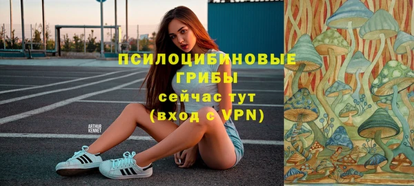 кокс Бородино