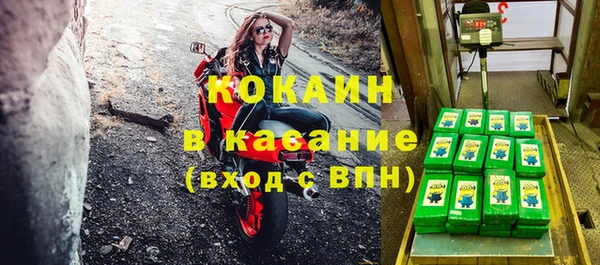 кокс Бородино