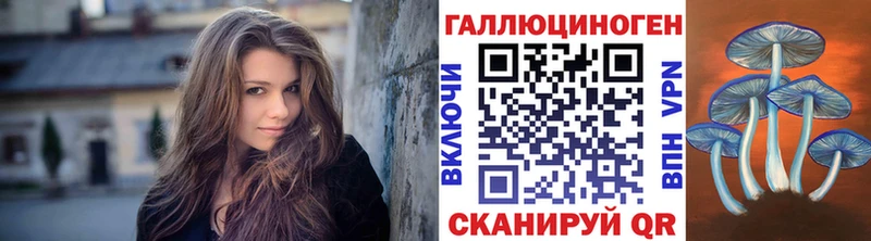 дарнет шоп  Губкин  Галлюциногенные грибы мицелий 